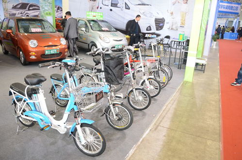 绿色低碳 维动电动自行车济南电动车风采展