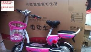 全新精品电动车厂家让利低价批发销售700