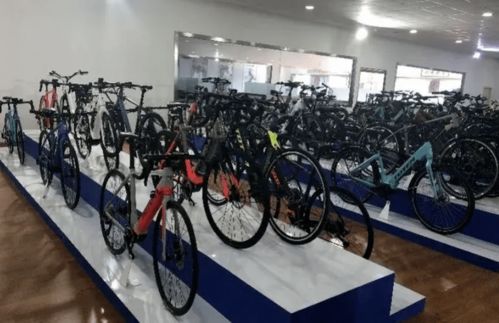 碳纤维车架的自行车海外订单激增,市场向好