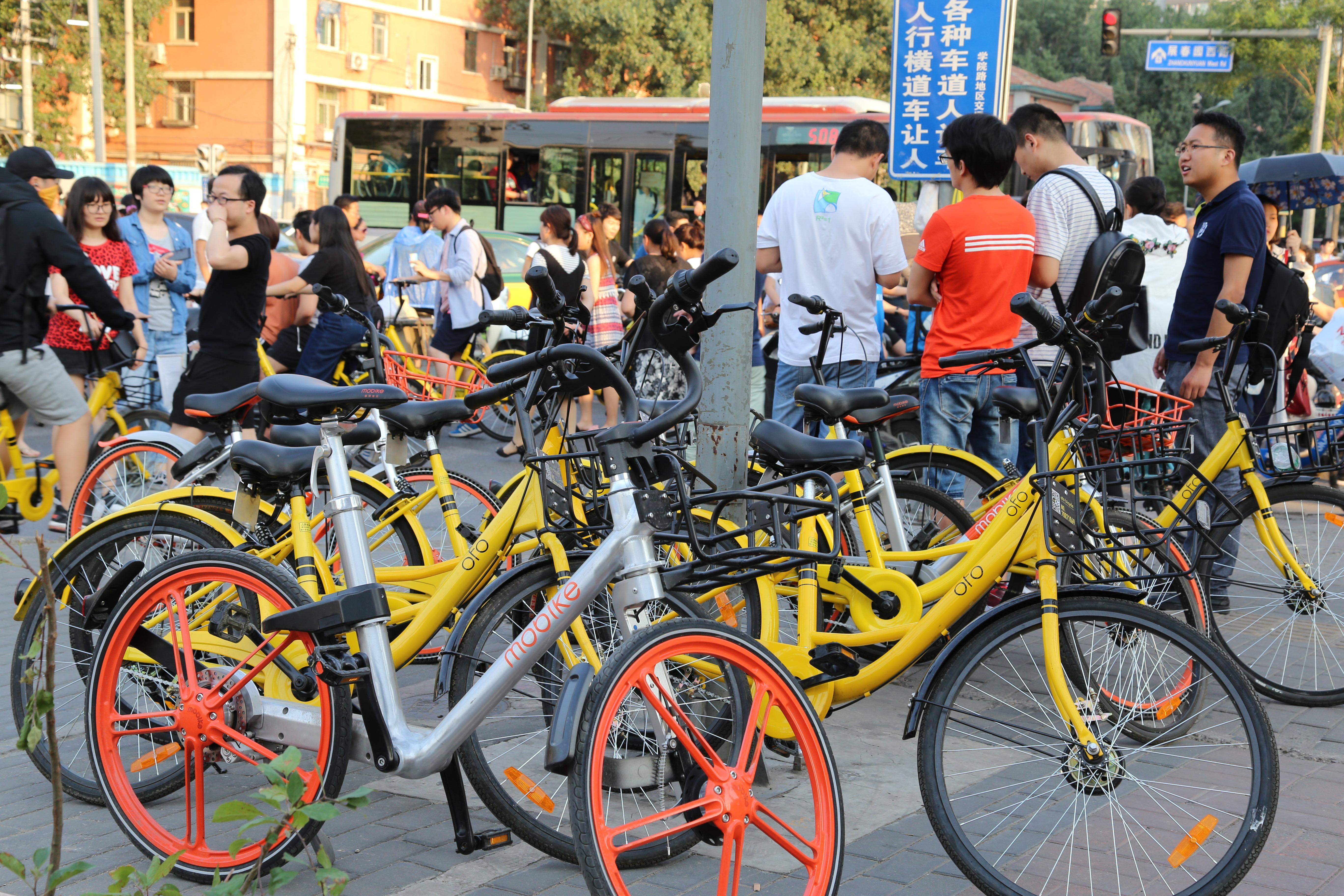 城市里的"搬运工":共享单车调度员