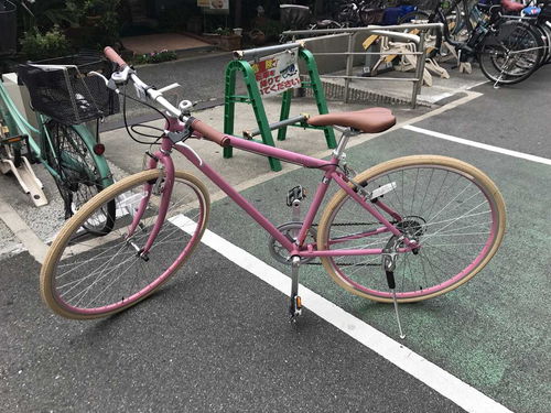 新自行车的魅力与选择指南